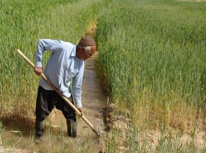 کشاورزی...